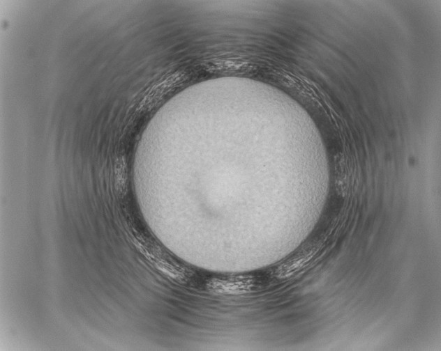 X0000057580563200510171710