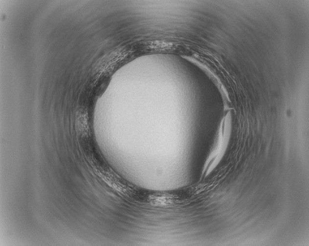 X0000057580564200510171710