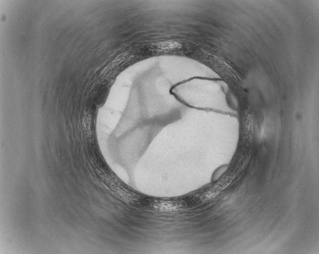 X0000057580565200510171710