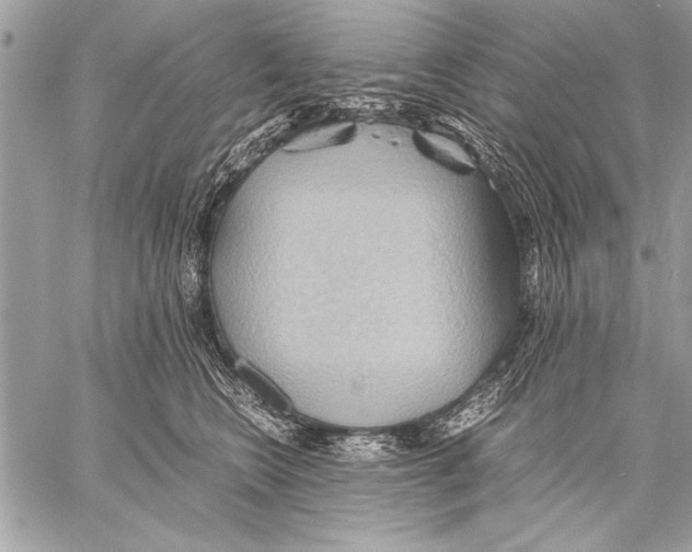 X0000057580566200510171710