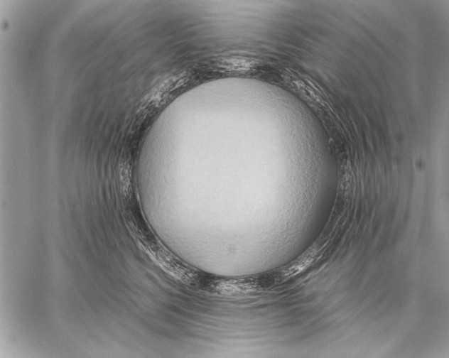 X0000057580568200510171710