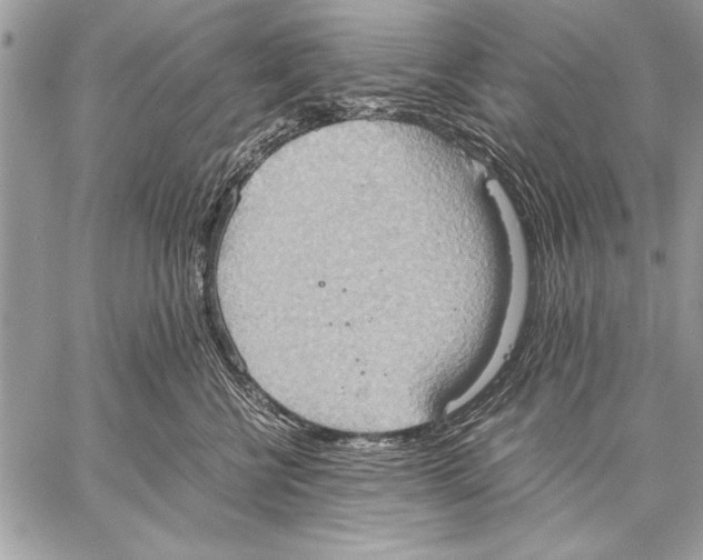 X0000057580570200510171711