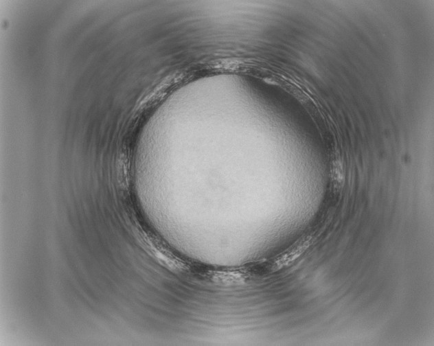 X0000057580572200510171711