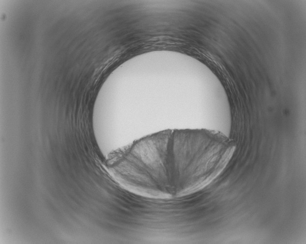 X0000057580573200510171711