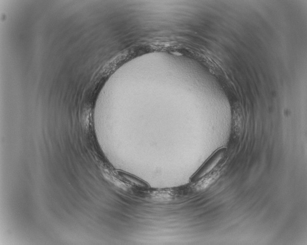 X0000057580574200510171711