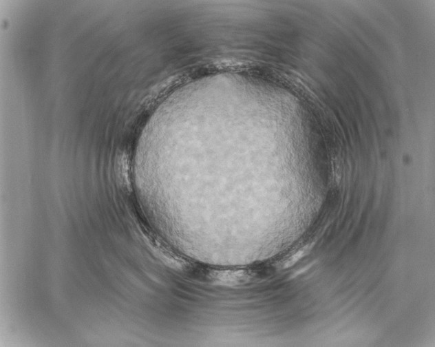 X0000057580575200510171711