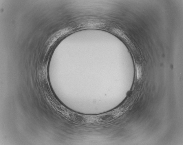 X0000057580579200510171710