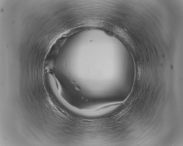 X0000057580580200510171710