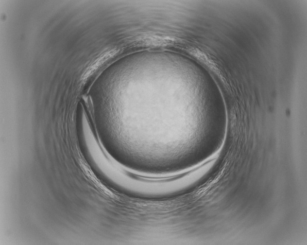 X0000057580581200510171710