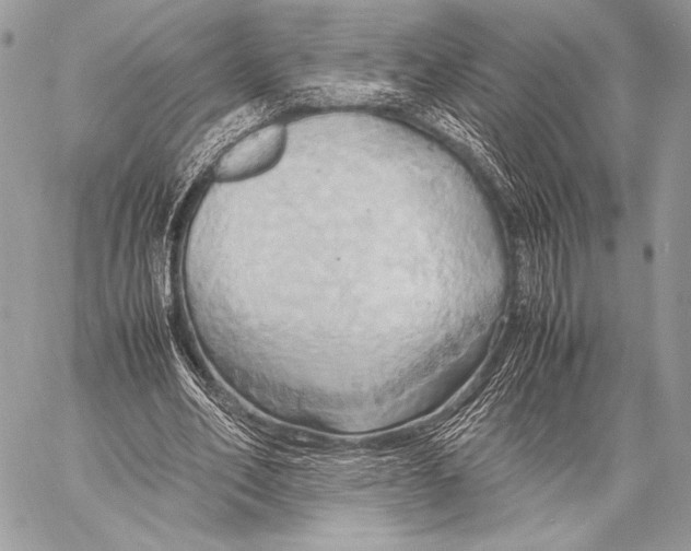 X0000057580582200510171710