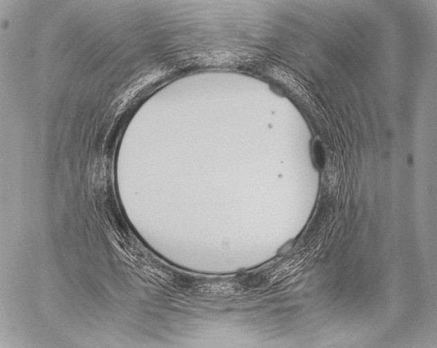 X0000057580583200510171710