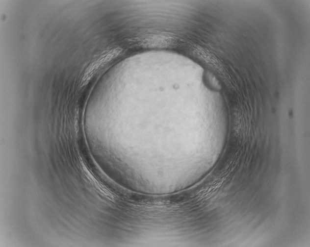 X0000057580586200510171710