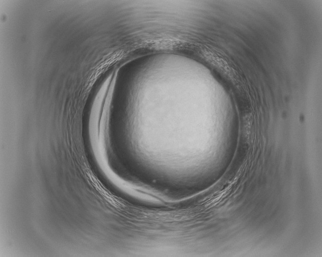 X0000057580589200510171710