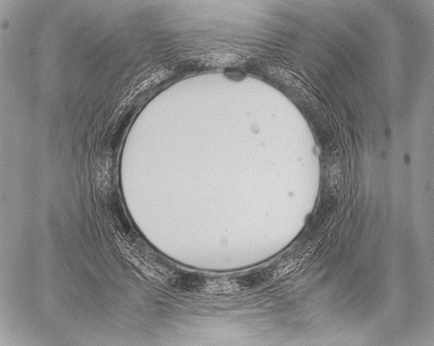 X0000057580591200510171710