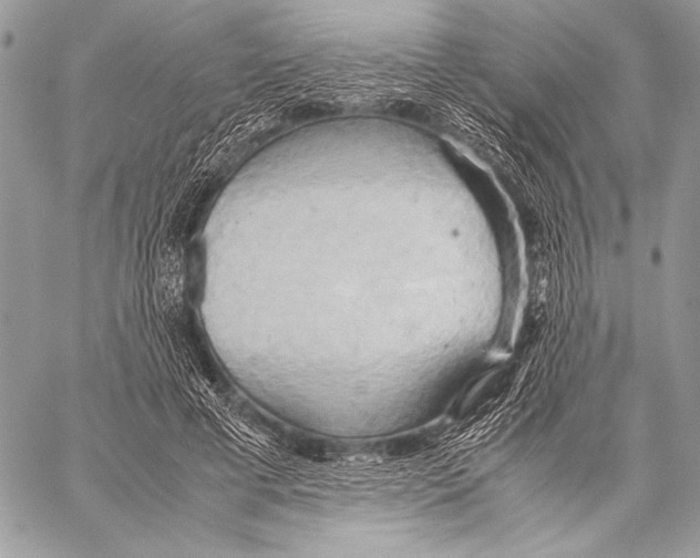 X0000057580593200510171710