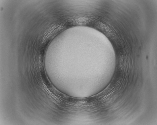 X0000057580594200510171710