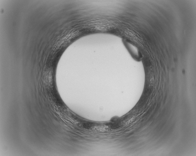 X0000057580595200510171710