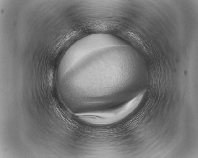 X0000057580596200510171709