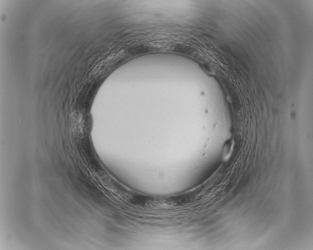 X0000057580597200510171709