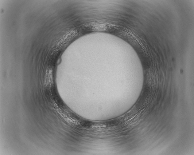 X0000057580598200510171709