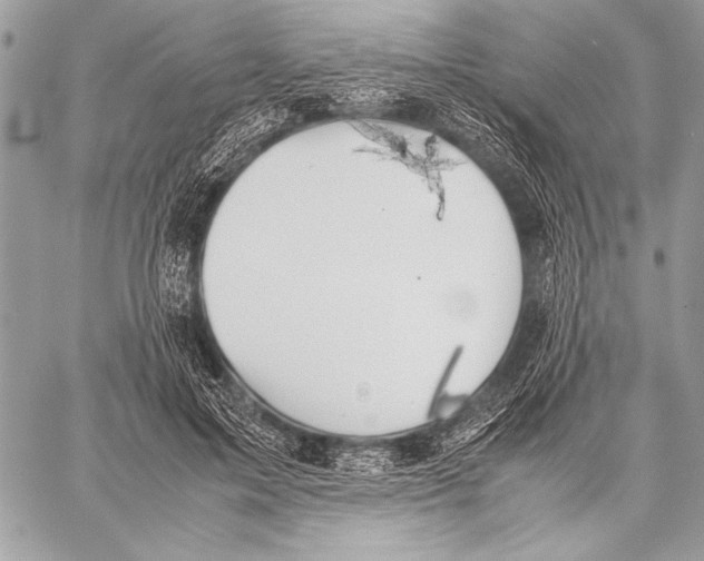 X0000057580599200510171709