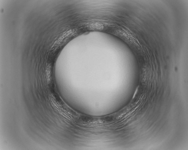 X0000057580600200510171709