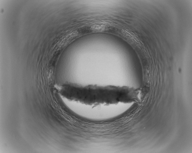 X0000057580601200510171709