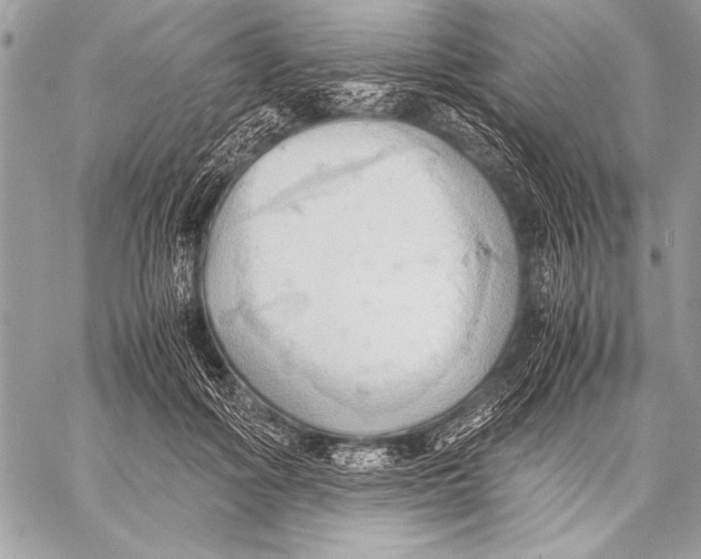 X0000057580602200510171709