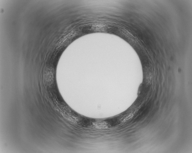 X0000057580603200510171709