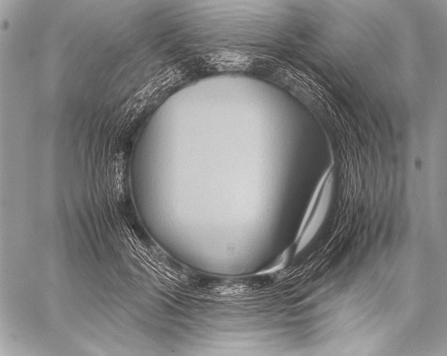 X0000057580604200510171709