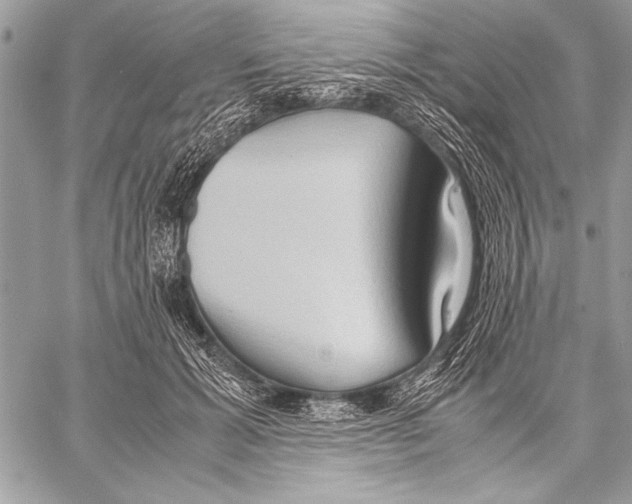 X0000057580605200510171709