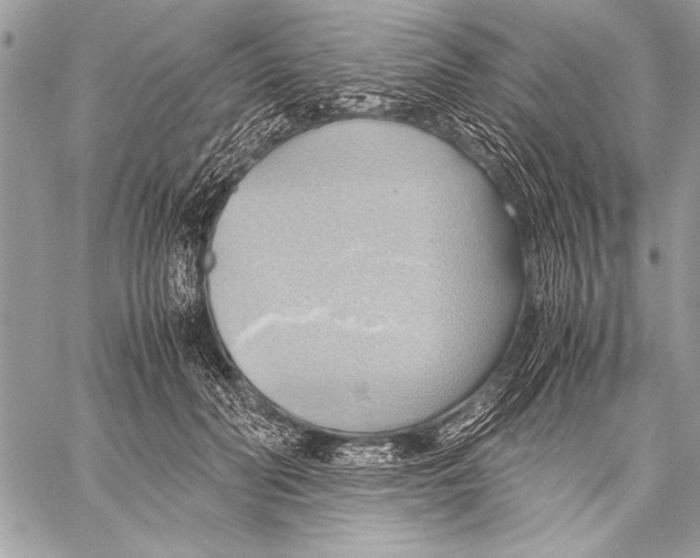 X0000057580606200510171709