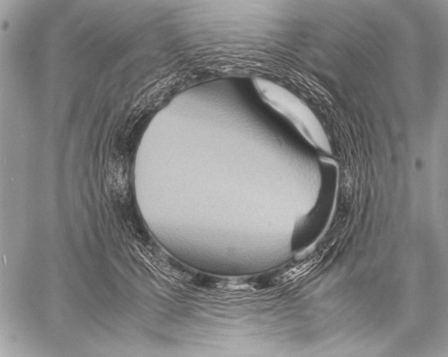 X0000057580607200510171709