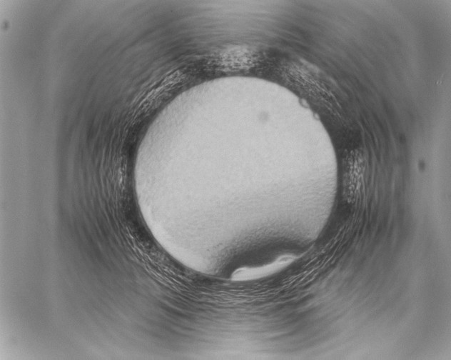 X0000057580608200510171709