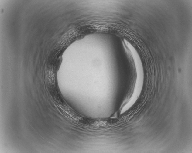 X0000057580609200510171709