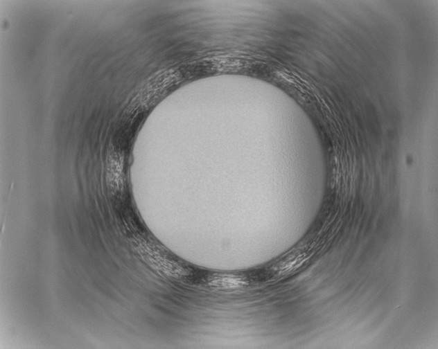 X0000057580610200510171709