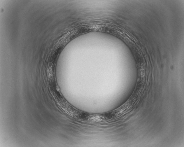 X0000057580611200510171709