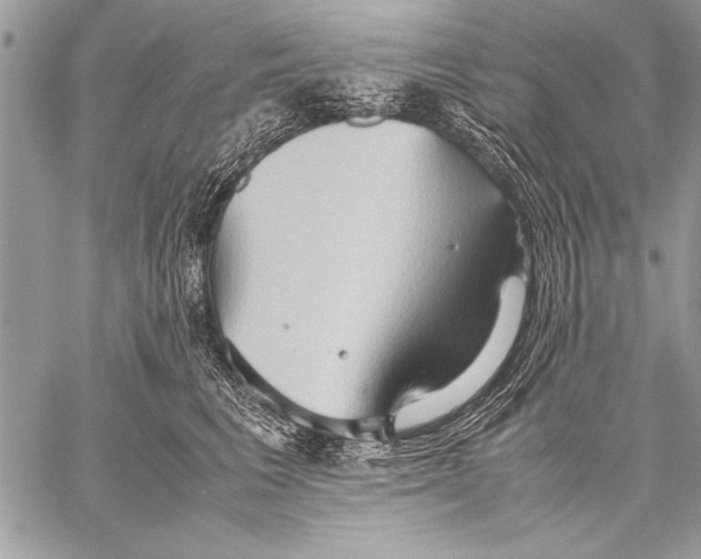 X0000057580613200510171709