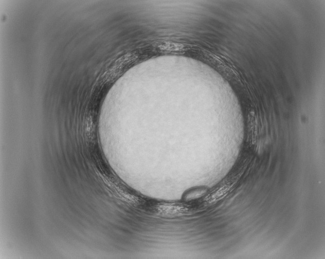 X0000057580614200510171709