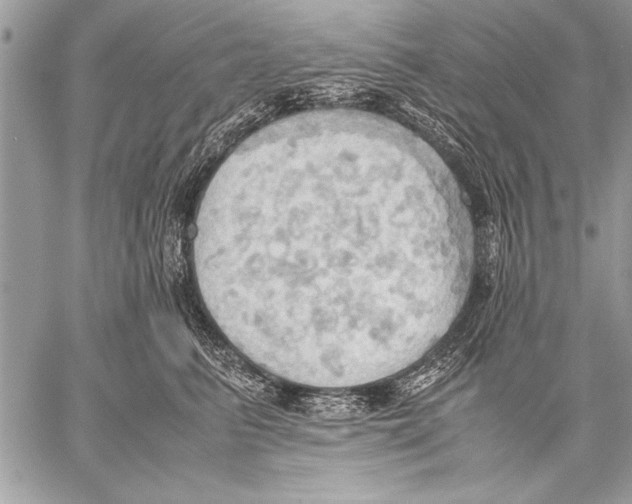 X0000057580615200510171709