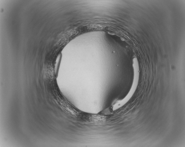 X0000057580617200510171709