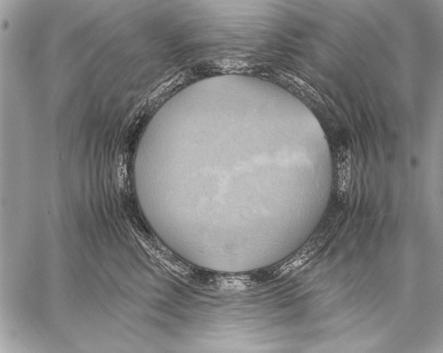 X0000057580618200510171709