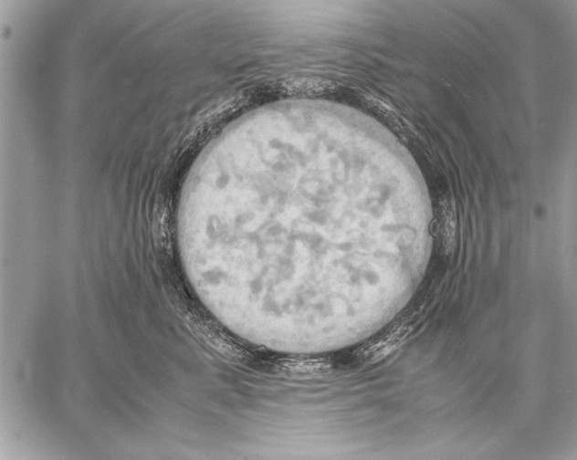 X0000057580619200510171709