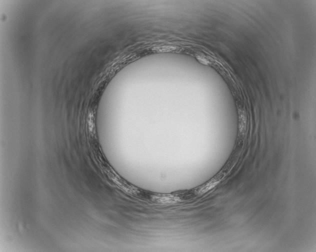 X0000057580621200510171709