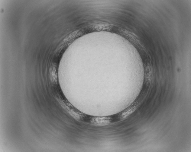 X0000057580622200510171709