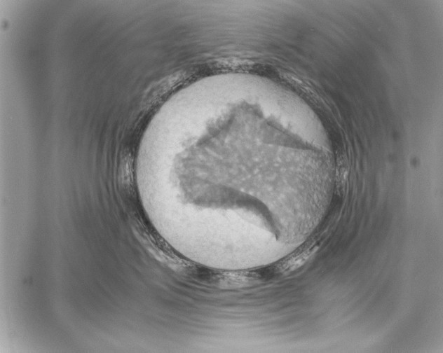 X0000057580623200510171709