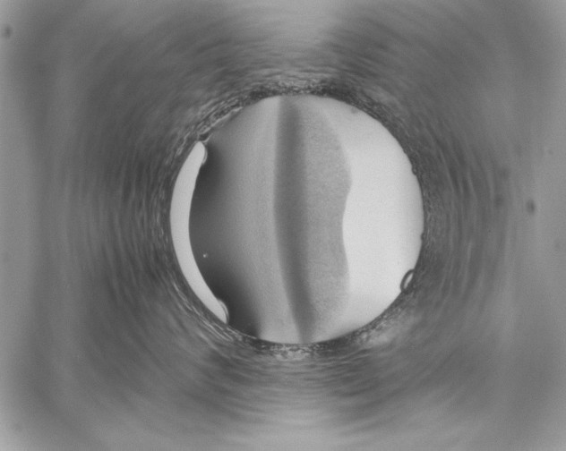 X0000057580624200510171709