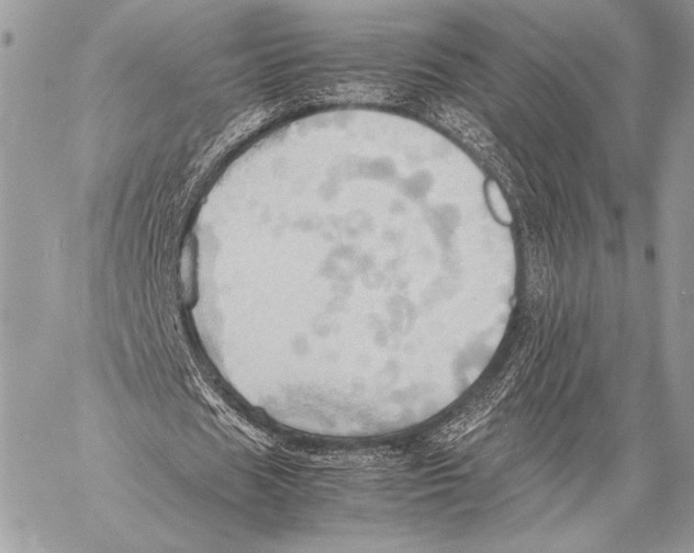 X0000057580625200510171708