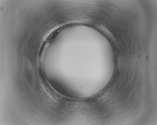 X0000057580628200510171708