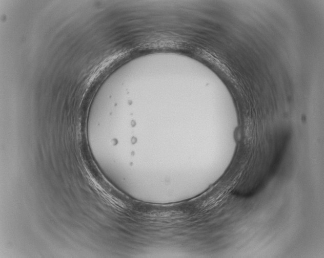 X0000057580629200510171708